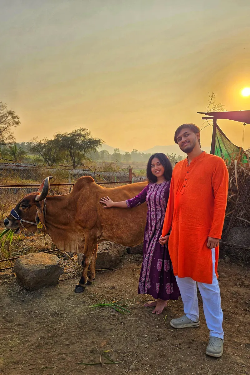 Nandi, the patient bull
