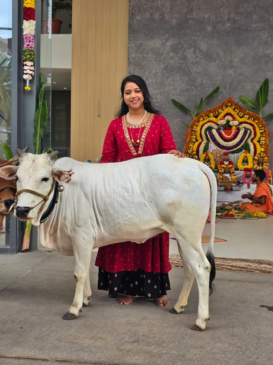 The ever-watchful Nandi